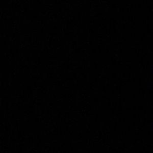 Meet your Posher, Laila